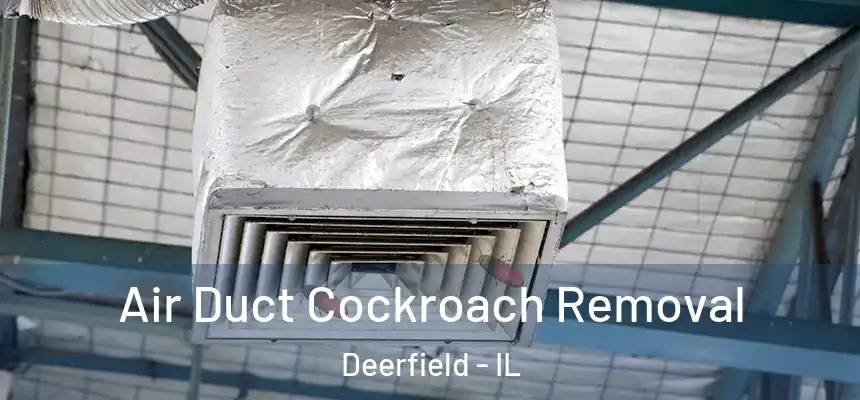 Air Duct Cockroach Removal Deerfield - IL