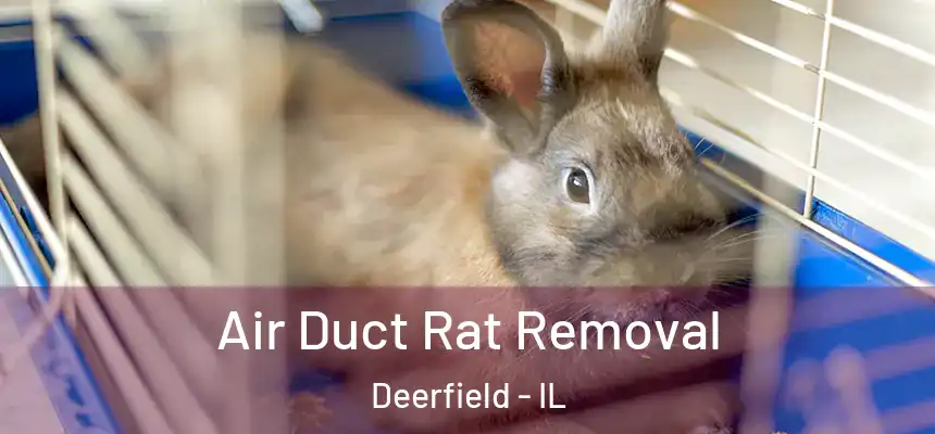  Air Duct Rat Removal Deerfield - IL