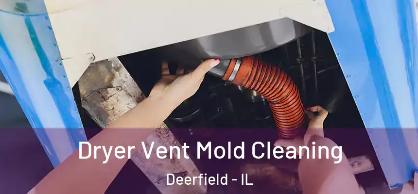 Dryer Vent Mold Cleaning Deerfield - IL