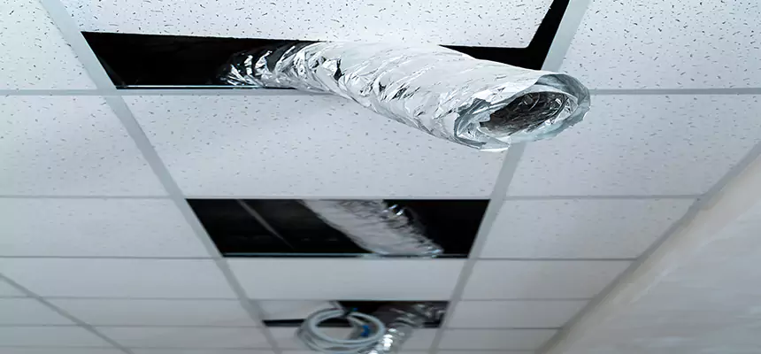 Our Air Duct Pet Hair Removal Services in Deerfield, IL