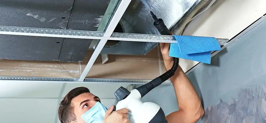 Our Air Duct Rodent Removal Services in Deerfield, IL