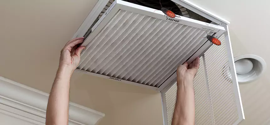 Our Insect Removal from Air Ducts Services in Deerfield, IL