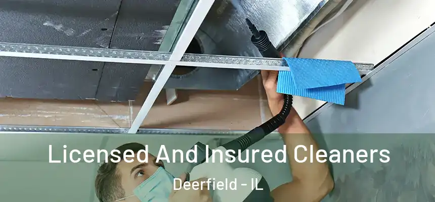 Licensed And Insured Cleaners Deerfield - IL