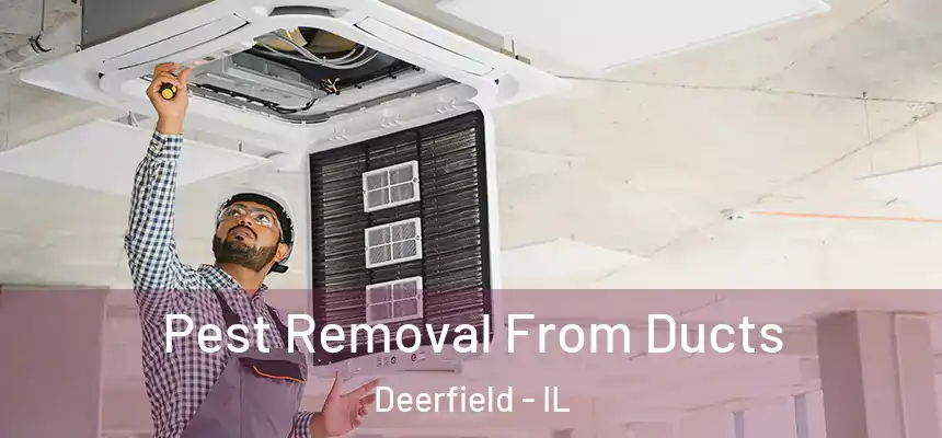 Pest Removal From Ducts Deerfield - IL