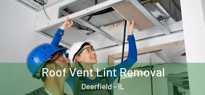  Roof Vent Lint Removal Deerfield - IL