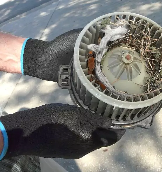 About Air Duct Rat Removal in Deerfield, IL