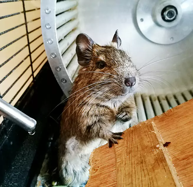 Why Homeowners & Businesses Trust Us Deerfield, IL