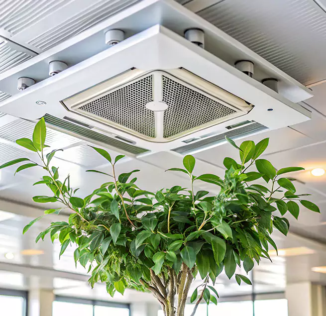 Why Homeowners & Businesses Trust Us in Deerfield, IL?