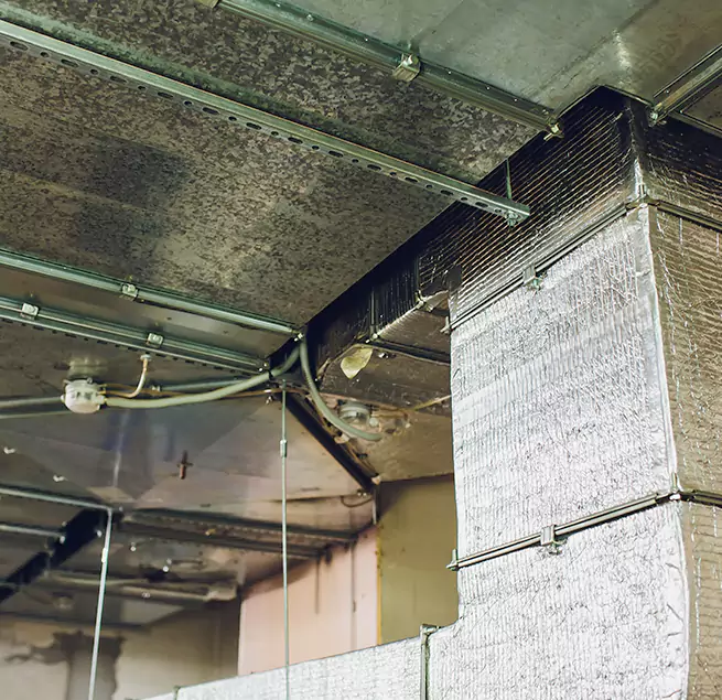 Why Homeowners & Businesses Trust Us in Deerfield, IL?